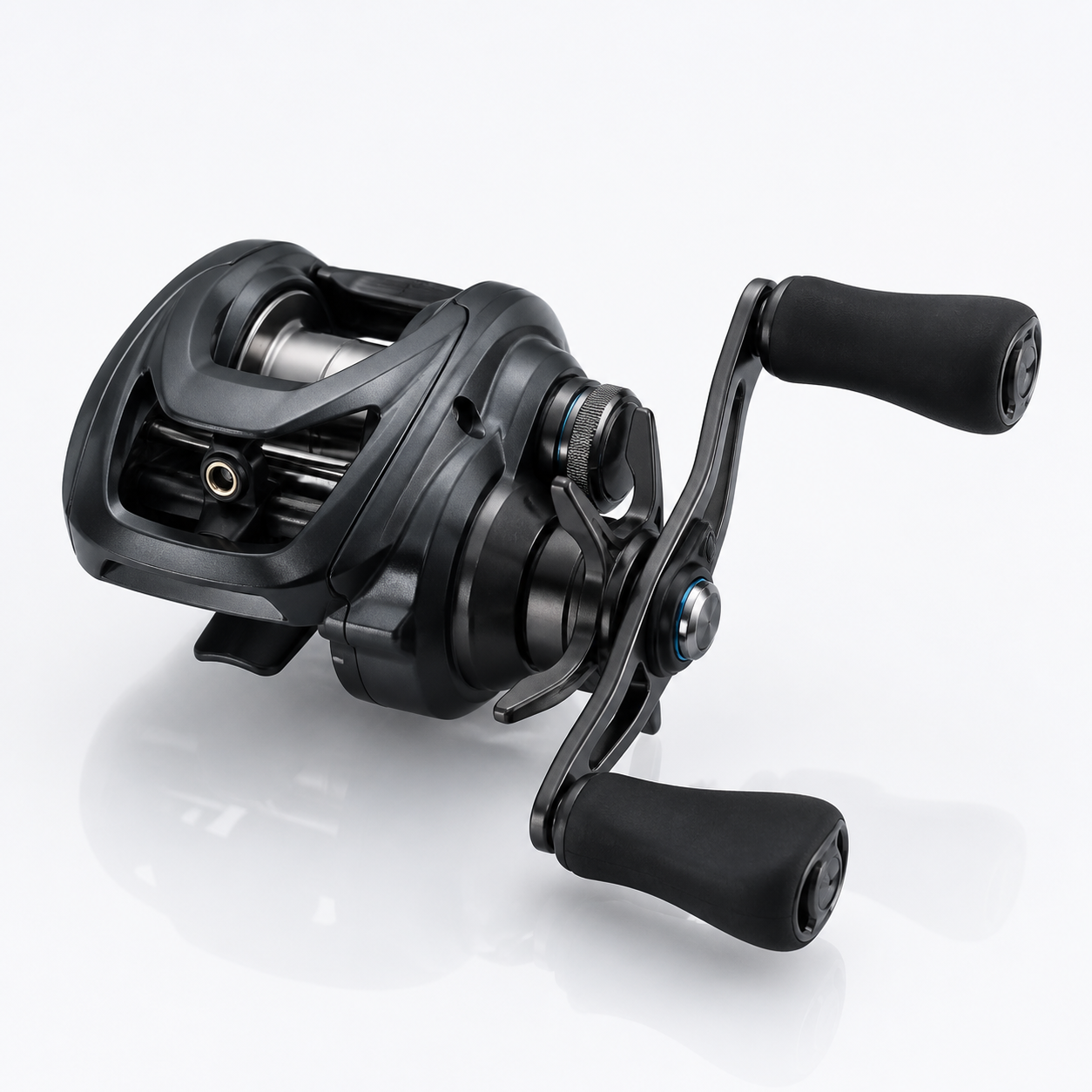 DAIWA 24 STEEZ SV TW 100H